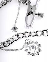 Anteprima: Crystal - Nippelklemmen einstellbar mit Kette kaufen